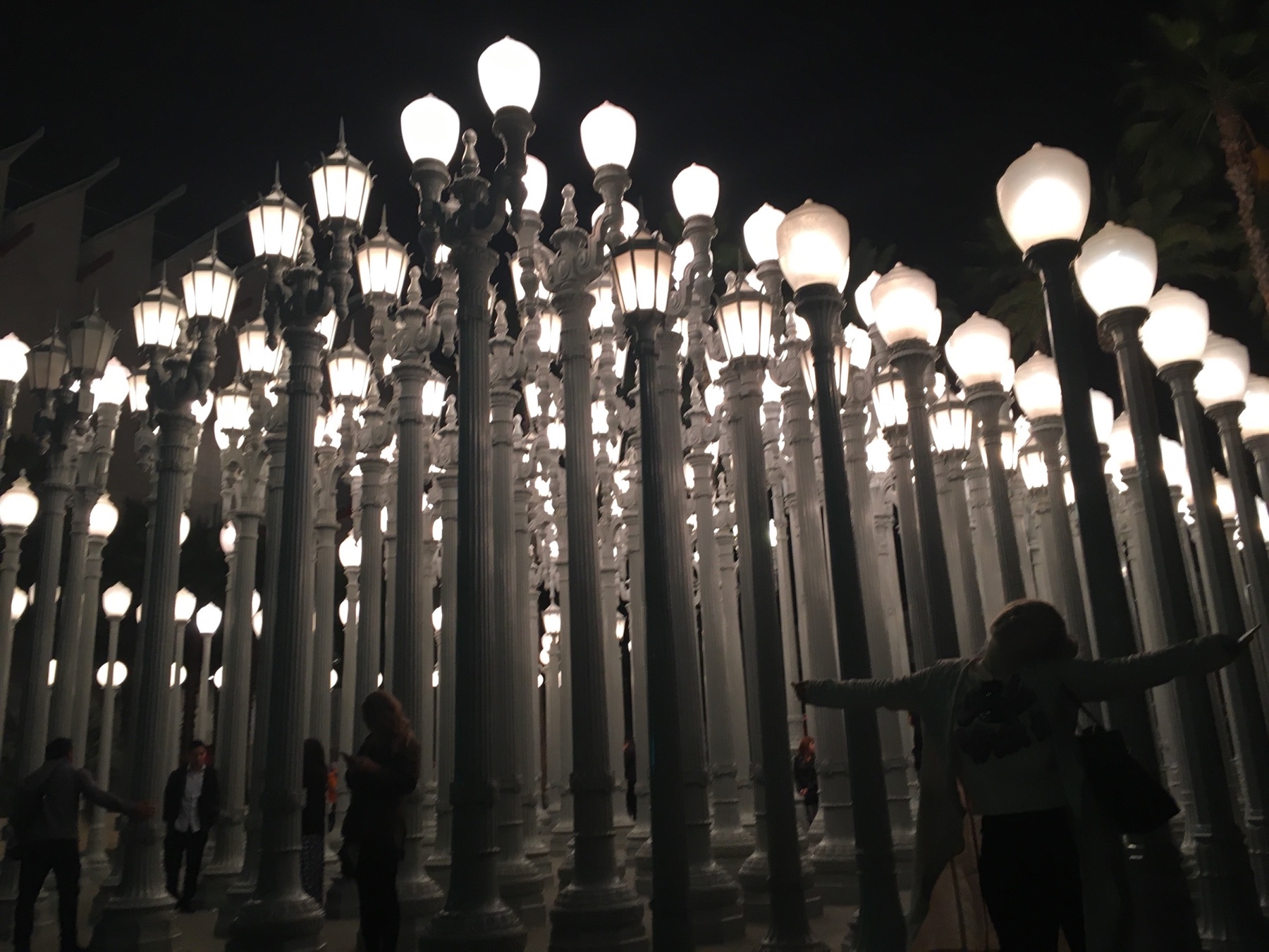 Urban Light installation at LACMA in Los Angeles at night